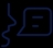 LanguageIcon