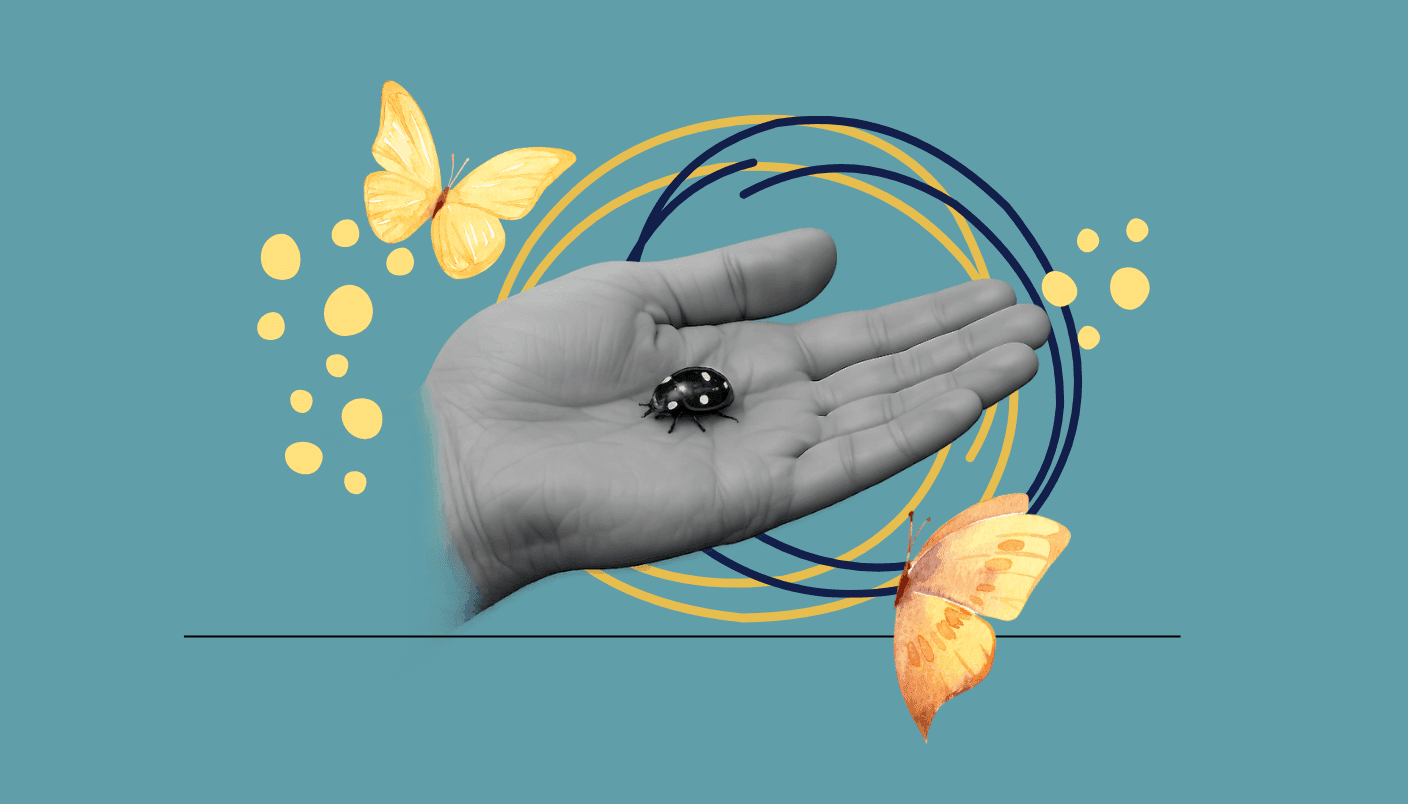 mikrokoki wyjście z domu