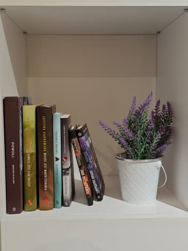 photo-5