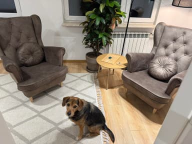 photo-10