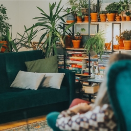 Zdjęcie Trójmiejska Strefa Psychoterapii