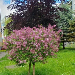 Zdjęcie mgr Sylwia Szulecka