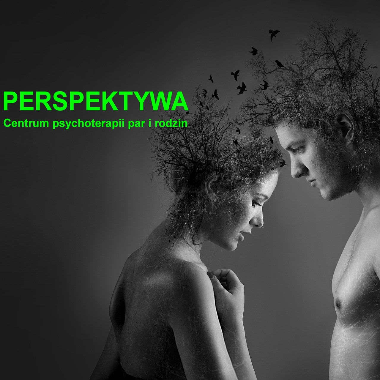 Zdjęcie PERSPEKTYWA Centrum psychoterapii indywidualnej oraz rodzin