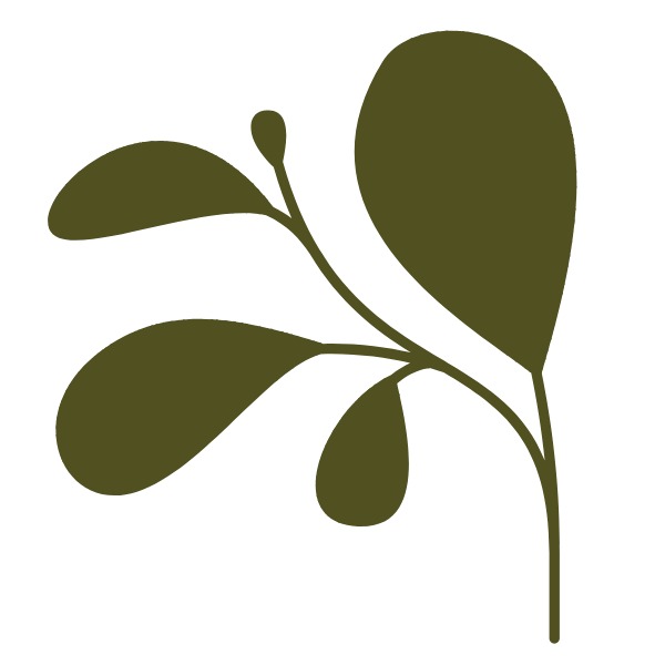 Zdjęcie Psychoterapia Przy Botanicznym