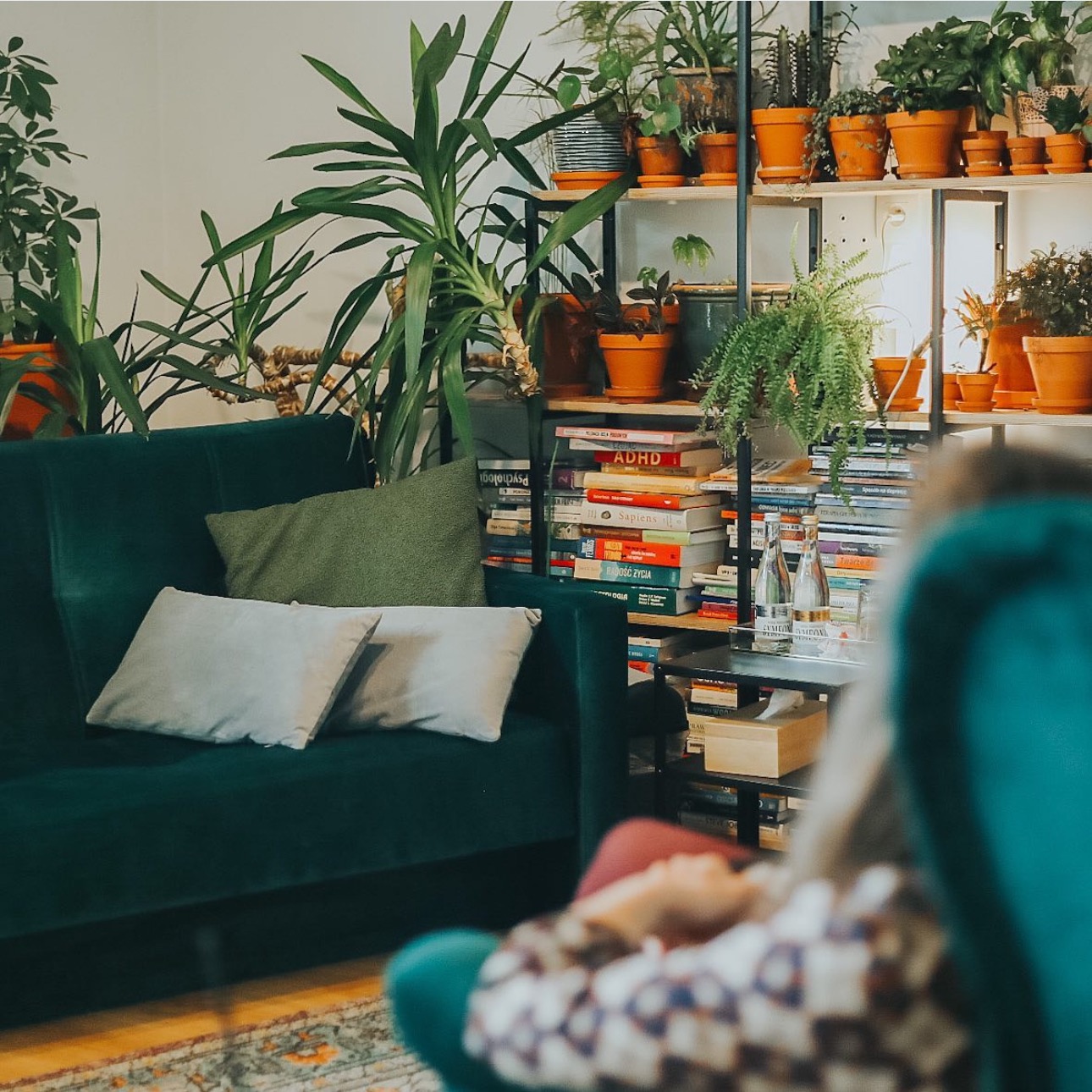 Zdjęcie Trójmiejska Strefa Psychoterapii